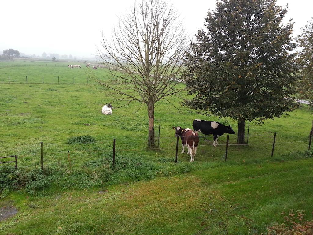 Bed and breakfast De Rivierduin 3*